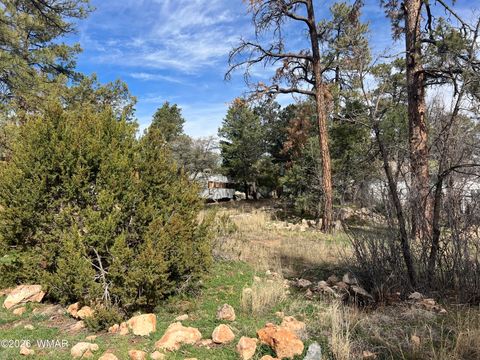 Photo of 2856 Rainbow Trail, Overgaard, AZ 85933 (MLS # 259908)