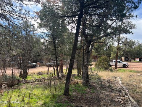 Tiny photo for 2856 Rainbow Trail, Overgaard, AZ 85933 (MLS # 259908)