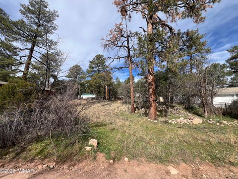 Tiny photo for 2856 Rainbow Trail, Overgaard, AZ 85933 (MLS # 259908)