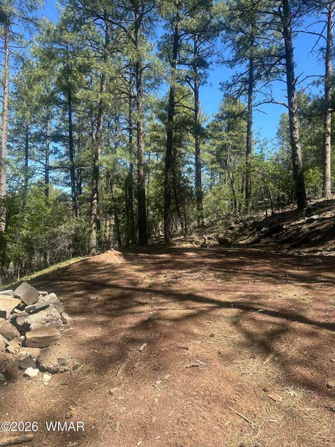 Photo of 230 W Pine Shadow Drive, Lakeside, AZ 85929 (MLS # 261625)