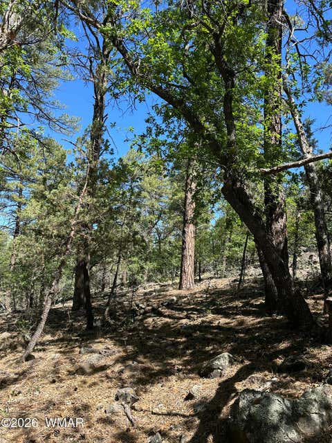 Tiny photo for 230 W Pine Shadow Drive, Lakeside, AZ 85929 (MLS # 261625)