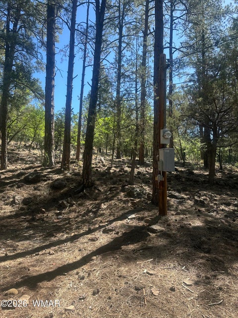 Tiny photo for 230 W Pine Shadow Drive, Lakeside, AZ 85929 (MLS # 261625)