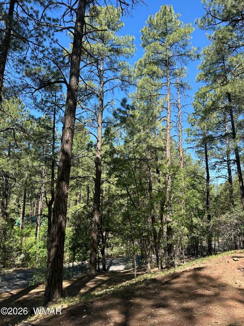 Tiny photo for 230 W Pine Shadow Drive, Lakeside, AZ 85929 (MLS # 261625)
