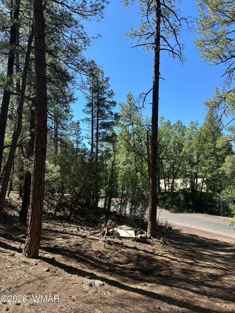 Tiny photo for 230 W Pine Shadow Drive, Lakeside, AZ 85929 (MLS # 261625)