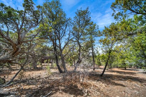 Tiny photo for 1760 S Monkshood Road, Show Low, AZ 85901 (MLS # 255375)