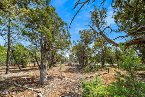 Tiny photo for 1760 S Monkshood Road, Show Low, AZ 85901 (MLS # 255375)