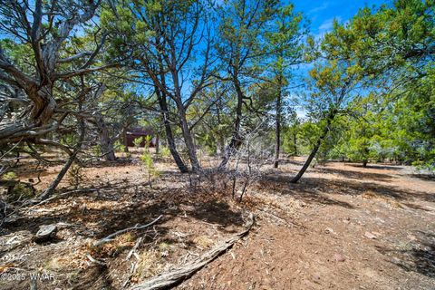 Tiny photo for 1760 S Monkshood Road, Show Low, AZ 85901 (MLS # 255375)