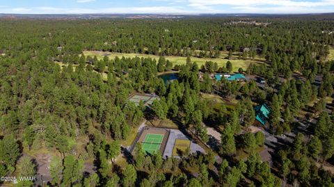 Tiny photo for 1760 S Monkshood Road, Show Low, AZ 85901 (MLS # 255375)