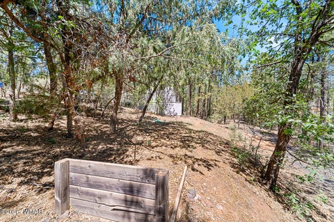 Tiny photo for 1862 Maryanne Road, Show Low, AZ 85901 (MLS # 261693)