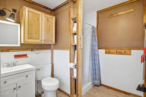 Tiny photo for 4306 El Dorado Road, Snowflake, AZ 85937 (MLS # 259252)