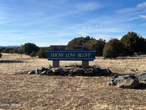 Tiny photo for 521 S Rock Creek Drive, Show Low, AZ 85901 (MLS # 258703)