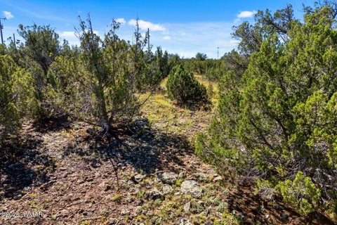 Tiny photo for 1870 Rainbow Circle, Show Low, AZ 85901 (MLS # 263410)