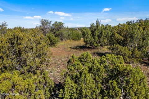 Tiny photo for 1870 Rainbow Circle, Show Low, AZ 85901 (MLS # 263410)
