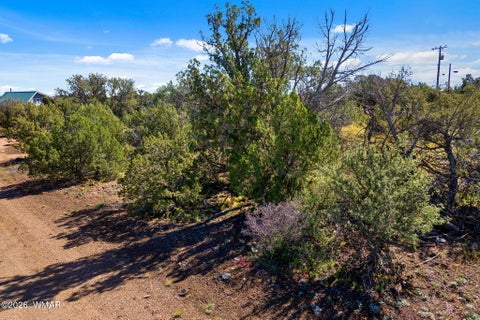 Tiny photo for 1870 Rainbow Circle, Show Low, AZ 85901 (MLS # 263410)