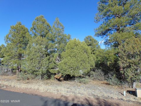 Photo of 681 S 2Nd Street, Show Low, AZ 85901 (MLS # 260045)