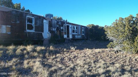 Tiny photo for 6 County Rd 5061 Lane, Concho Valley, AZ 85924 (MLS # 259261)