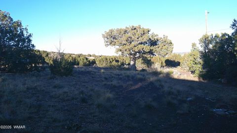 Tiny photo for 6 County Rd 5061 Lane, Concho Valley, AZ 85924 (MLS # 259261)