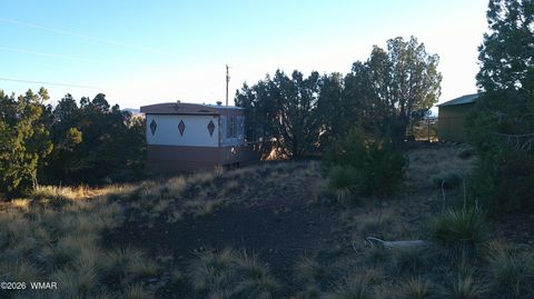 Tiny photo for 6 County Rd 5061 Lane, Concho Valley, AZ 85924 (MLS # 259261)