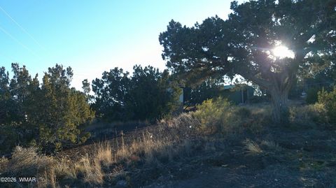 Tiny photo for 6 County Rd 5061 Lane, Concho Valley, AZ 85924 (MLS # 259261)