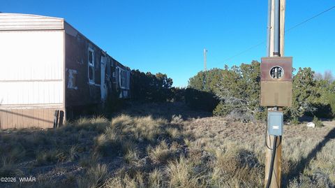 Tiny photo for 6 County Rd 5061 Lane, Concho Valley, AZ 85924 (MLS # 259261)