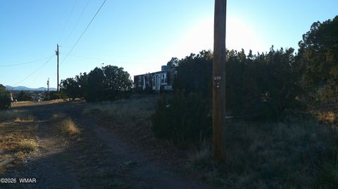 Tiny photo for 6 County Rd 5061 Lane, Concho Valley, AZ 85924 (MLS # 259261)