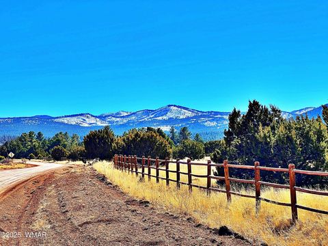 Tiny photo for Lot 2 106-67-026R, Vernon, AZ 85940 (MLS # 258270)