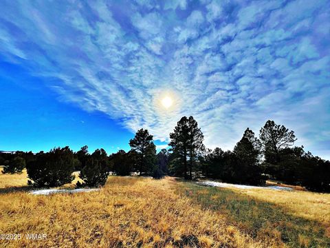 Tiny photo for Lot 2 106-67-026R, Vernon, AZ 85940 (MLS # 258270)