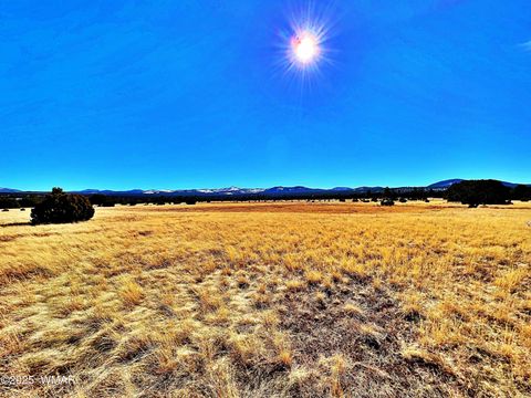 Tiny photo for Lot 2 106-67-026R, Vernon, AZ 85940 (MLS # 258270)
