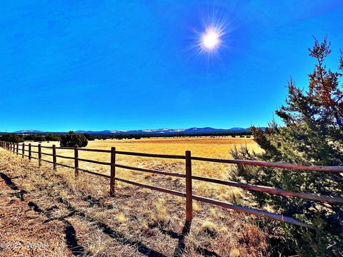 Tiny photo for Lot 2 106-67-026R, Vernon, AZ 85940 (MLS # 258270)
