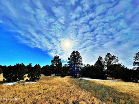 Tiny photo for Lot 2 106-67-026R, Vernon, AZ 85940 (MLS # 258270)