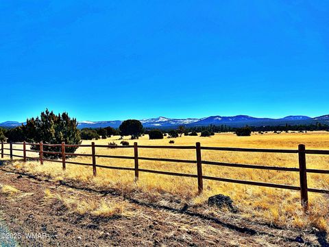 Tiny photo for Lot 2 106-67-026R, Vernon, AZ 85940 (MLS # 258270)