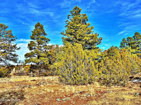 Tiny photo for Lot 2 106-67-026R, Vernon, AZ 85940 (MLS # 258270)