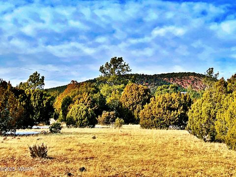 Tiny photo for Lot 2 106-67-026R, Vernon, AZ 85940 (MLS # 258270)