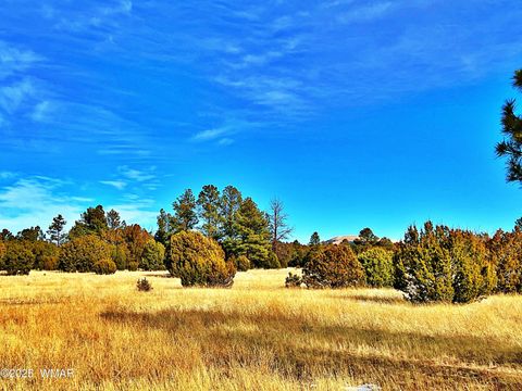 Tiny photo for Lot 2 106-67-026R, Vernon, AZ 85940 (MLS # 258270)