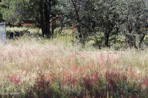 Tiny photo for 004T Elk Trail, Show Low, AZ 85901 (MLS # 263431)