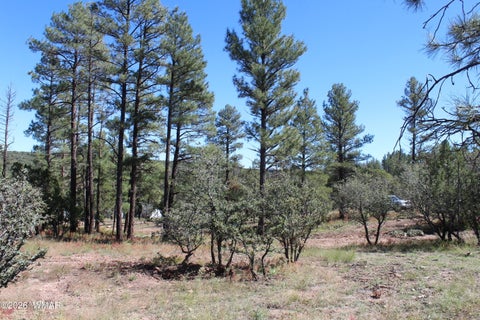 Tiny photo for 004T Elk Trail, Show Low, AZ 85901 (MLS # 263431)