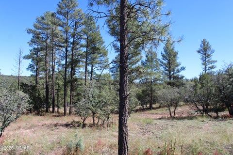 Tiny photo for 004T Elk Trail, Show Low, AZ 85901 (MLS # 263431)