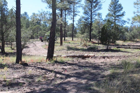 Tiny photo for 004T Elk Trail, Show Low, AZ 85901 (MLS # 263431)