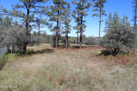 Tiny photo for 004T Elk Trail, Show Low, AZ 85901 (MLS # 263431)