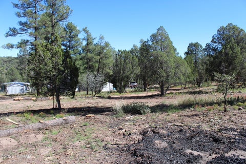 Tiny photo for 004T Elk Trail, Show Low, AZ 85901 (MLS # 263431)