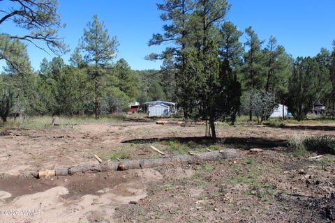 Tiny photo for 004T Elk Trail, Show Low, AZ 85901 (MLS # 263431)
