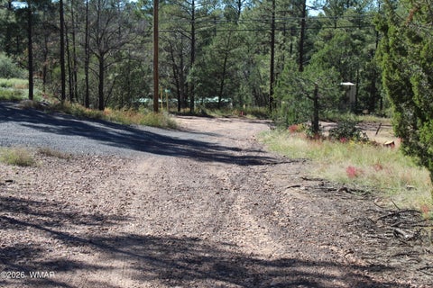 Tiny photo for 004T Elk Trail, Show Low, AZ 85901 (MLS # 263431)