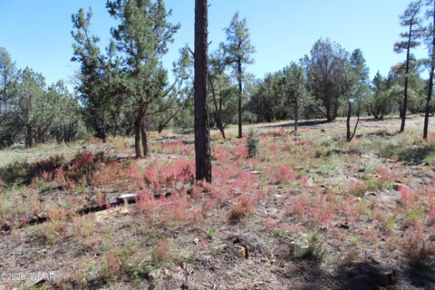 Tiny photo for 004T Elk Trail, Show Low, AZ 85901 (MLS # 263431)