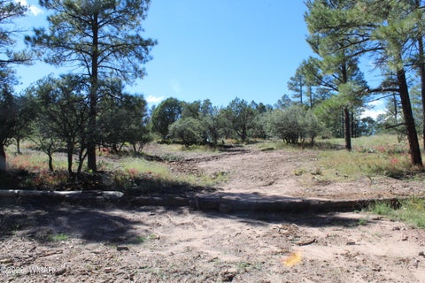 Tiny photo for 004T Elk Trail, Show Low, AZ 85901 (MLS # 263431)