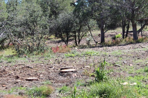 Tiny photo for 004T Elk Trail, Show Low, AZ 85901 (MLS # 263431)