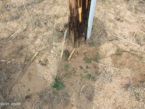 Tiny photo for 2925 Buckskin Canyon Rd Rd, Heber, AZ 85928 (MLS # 258724)