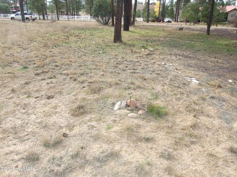 Tiny photo for 2925 Buckskin Canyon Rd Rd, Heber, AZ 85928 (MLS # 258724)