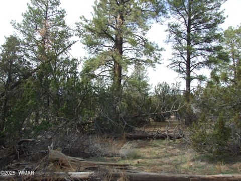 Tiny photo for 2925 Buckskin Canyon Rd Rd, Heber, AZ 85928 (MLS # 258724)