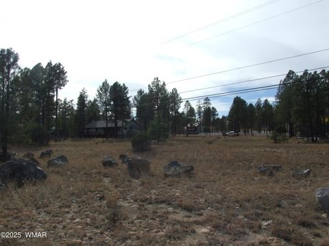 Tiny photo for 2925 Buckskin Canyon Rd Rd, Heber, AZ 85928 (MLS # 258724)