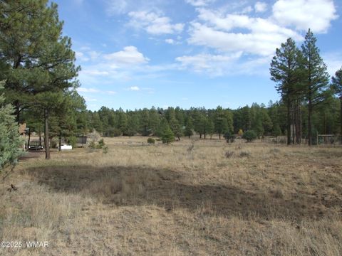 Photo of 2925 Buckskin Canyon Rd Rd, Heber, AZ 85928 (MLS # 258724)